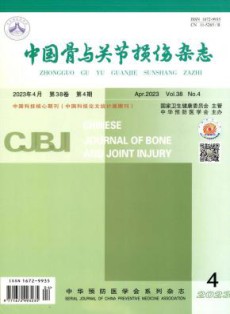 中国骨与关节损伤